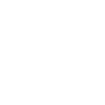Carburetor maintenance